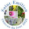 SAINT EMILION CHATEAU DU JOUR
