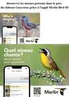 appli Merlin bird ID pour identifier les oiseaux