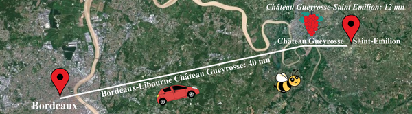 A DAY IN SAINT EMILION WINE TOUR