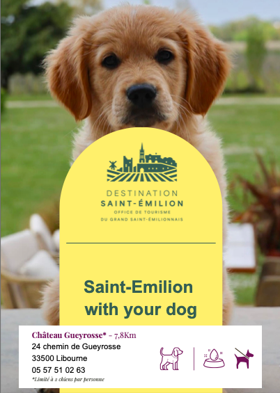saint_emilion_dog_friendly_chateau