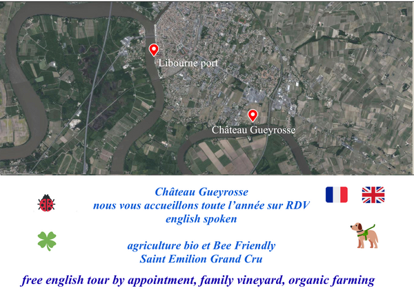 Family vineyard near Libourne cruise port welcoming cruise passengers for wine tasting