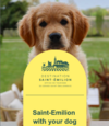 SAINT EMILION WITH MY DOG