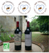 EXPLORING SAINT EMILION WINES