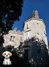 SAINT EMILION CHATEAU ACCEPTANT LES CHIENS