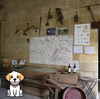 SAINT EMILION VINEYARD WITH MY DOG
