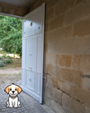 VISITER UN VIGNOBLE AVEC MON CHIEN