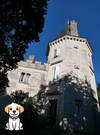 SAINT EMILION VISITE AVEC MON CHIEN