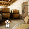 Saint Emilion: Sie reisen mit Ihrem Hund?