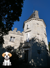 CHATEAU DOG FRIENDLY SAINT EMILION