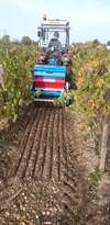 CHATEAU GUEYROSSE AGRICULTURE BIOLOGIQUE