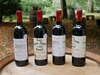 SAINT EMILION WINES