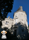 SAINT EMILION CHATEAU DOG FRIENDLY