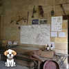 SAINT EMILION CHATEAU WITH MY DOG