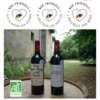 SAINT EMILION ORGANIC WINE