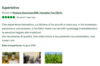 CHATEAU GUEYROSSE TRIPADVISOR REVIEWS