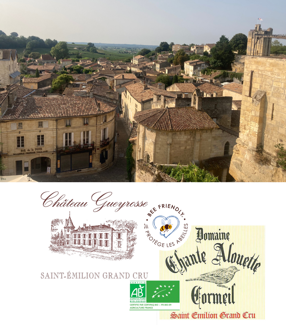 SAINT EMILION CHATEAU DU JOUR VISITE