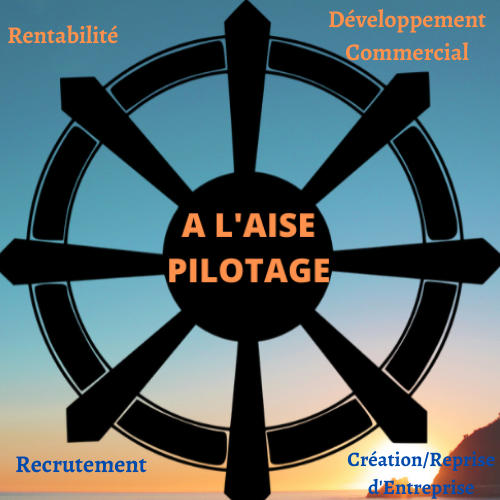 Logo A L'AISE PILOTAGE