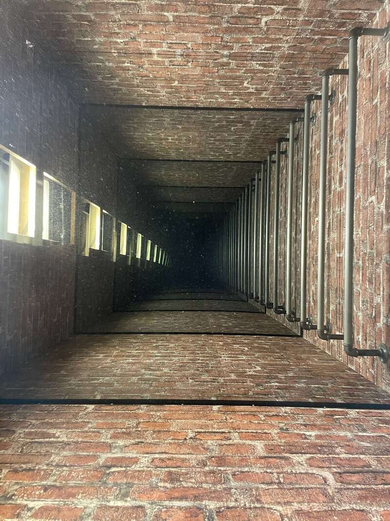 8a09efd9-37e9-4e2d-971d-38bf28c3bae6