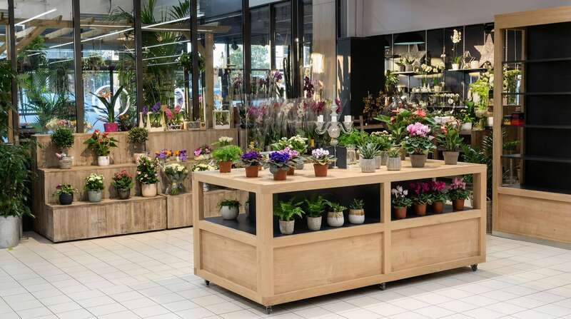 hf_20260212_142048_ba8275e8-634b-4d99-ba37-ff8fb6fddc7d