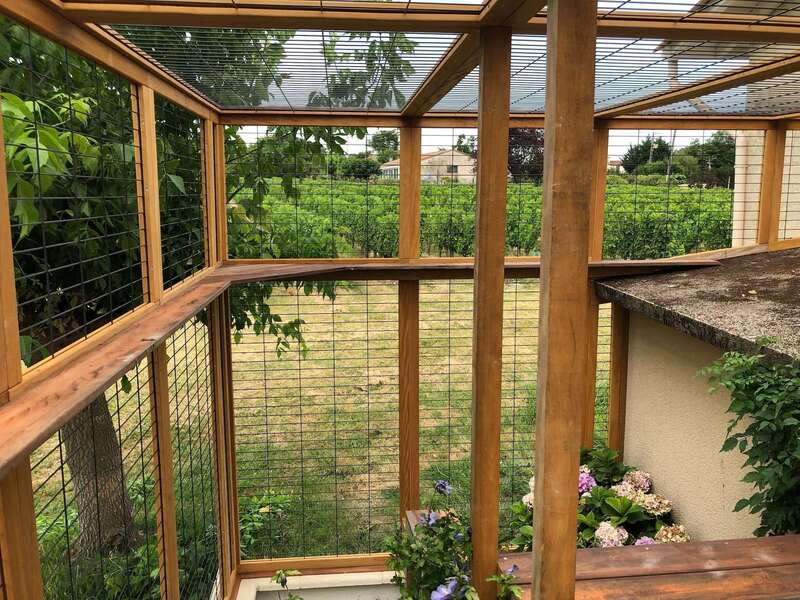 d854b223-0d44-43ee-832c-62bf2982c983