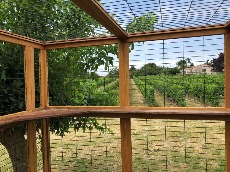 82942d54-cfcd-4f2d-959b-b86a4d2291f3