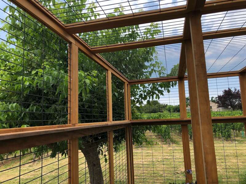 d5eba5b4-426d-417e-8fc8-65a59d7446ae