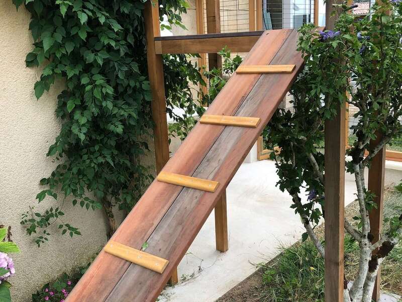 c3390138-d1bc-492a-ac0b-6f026289bbae