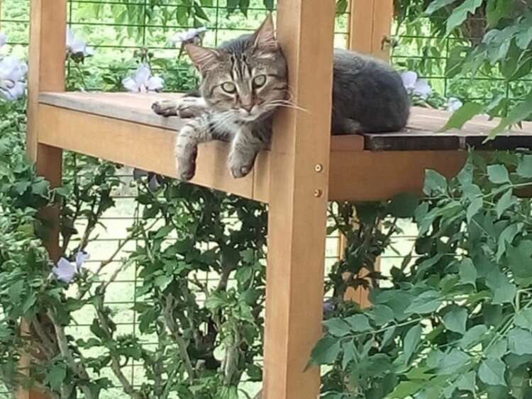 a486feea-72a7-4eee-90af-d1168571c5bb