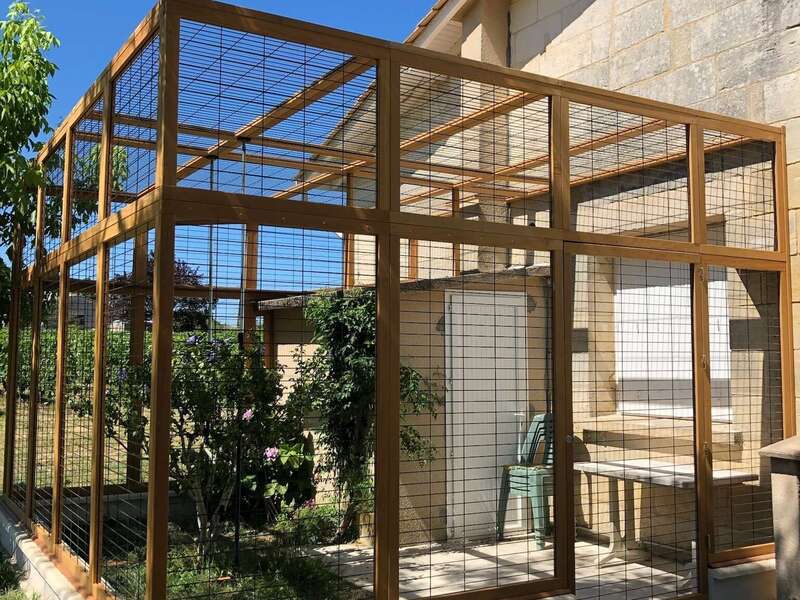 5219f020-60cb-4a10-a717-6a265c9c1508