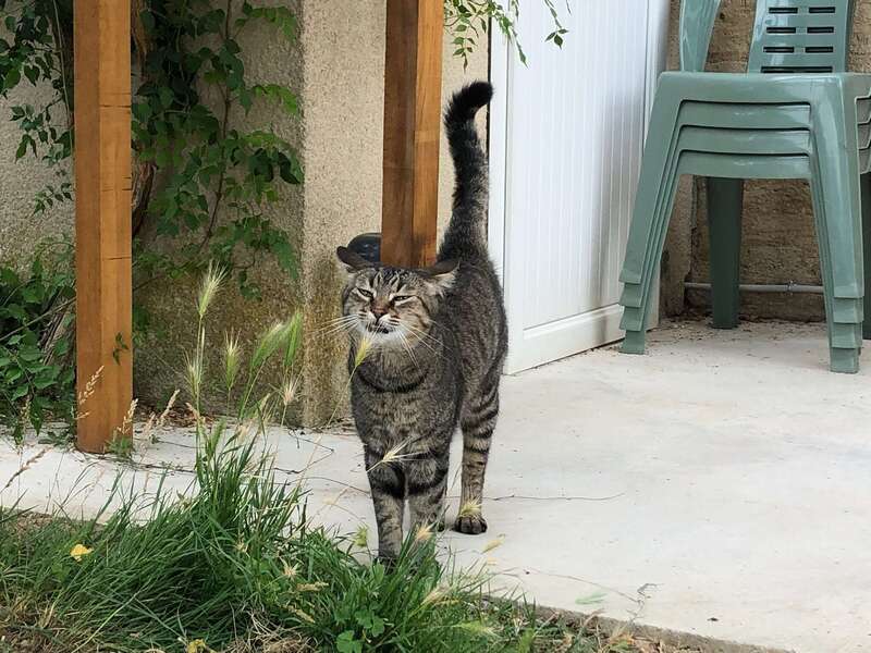 1b62b572-84ea-4959-9233-2e553896dfa6