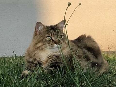 f19ae820-4d59-405b-92b6-192b9251d8da_4_5005_c