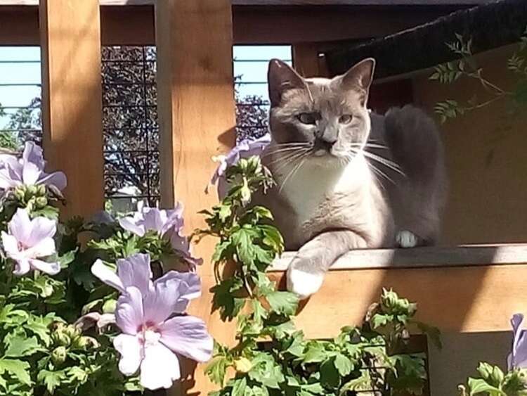 9cf4d4d8-6959-4c07-9fea-a4896ca56eee