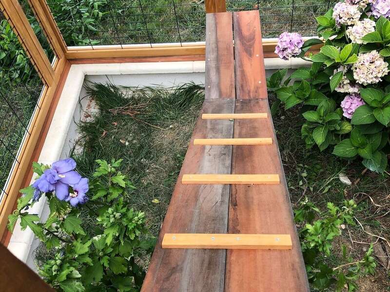 1e19a608-9586-4fc3-99ce-a11ef732f807