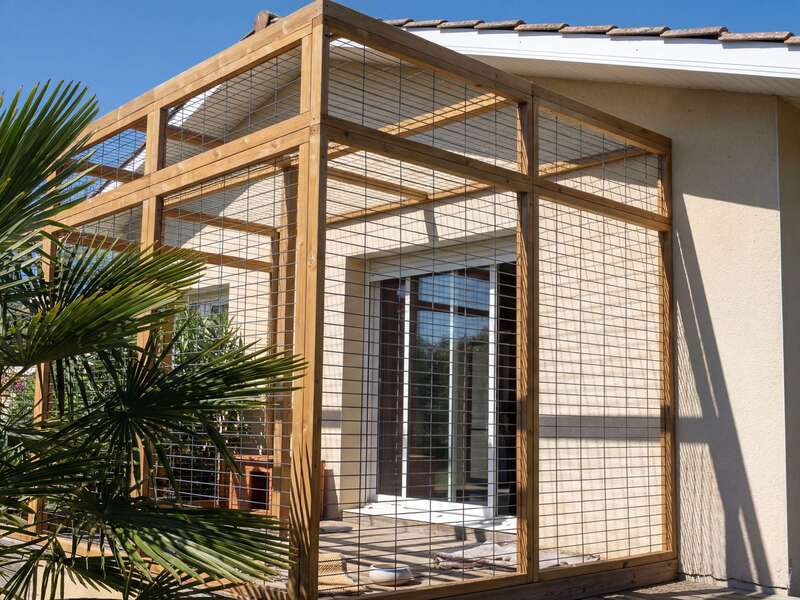 hf_20260223_135742_cf15e9a0-6efb-4e64-9dab-c56eb62c2918_2