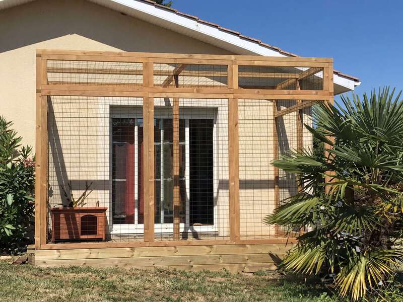 hf_20260223_134008_260c8efc-dae7-4ef5-8029-bfe4ecc83276_2