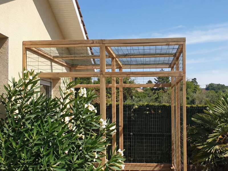 hf_20260223_134153_85fef611-565b-47f8-ae78-30d4be2cd395_2