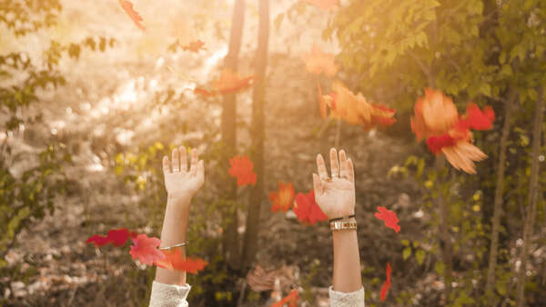 Sophrologie et changement de saison