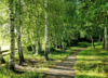 séance suivi bien-être relaxation naturopathie