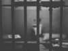 PETITFILS LAMURIA AVOCAT , DROIT PENAL à Paris 11 (75011)