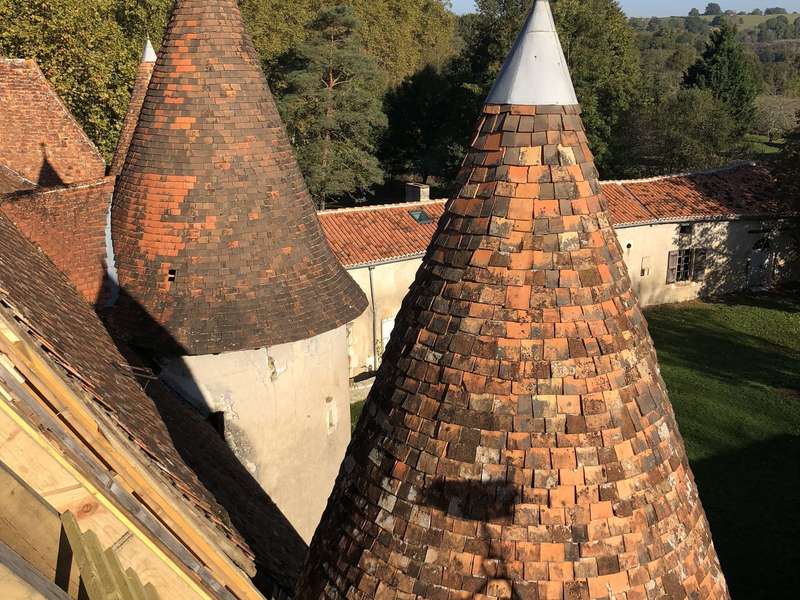 unknown-120191108-633386-1qqpf2l