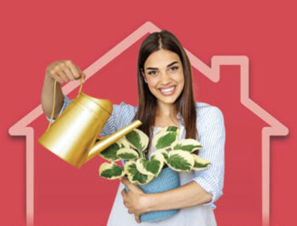 Rencontrez Plein Jour Rénovation au Salon Habitat du Havre et donnez vie à vos projets