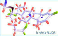 LE FLUOR, QUELLES RECOMMANDATIONS ?