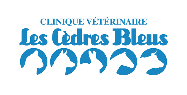 Logo Clinique vétérinaire Les Cèdres Bleus