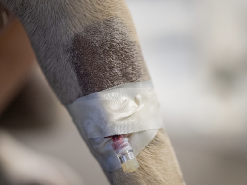 capture_d_ecran_2023-07-04_a_10-39-19