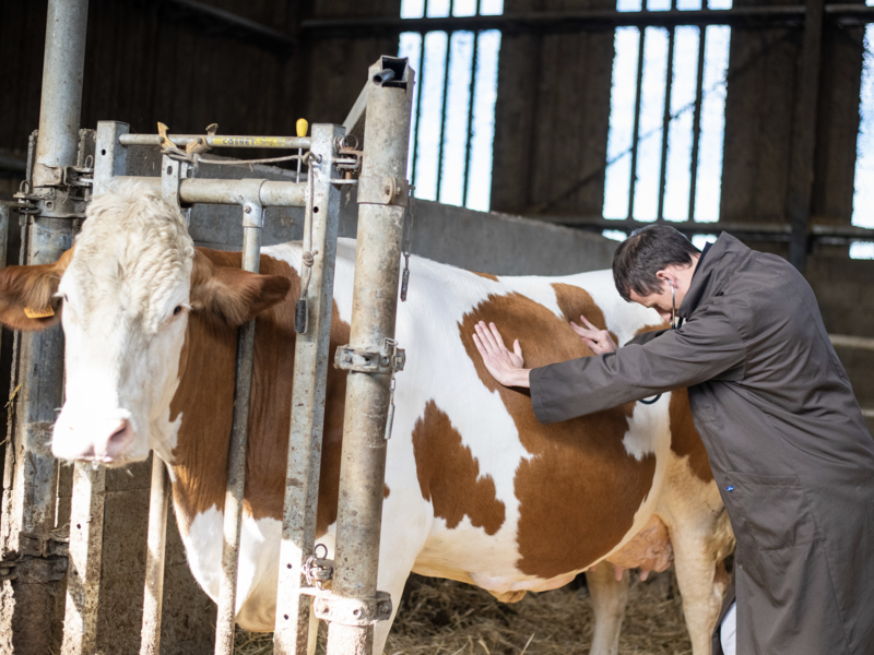 capture_d_ecran_2023-07-04_a_10-42-05