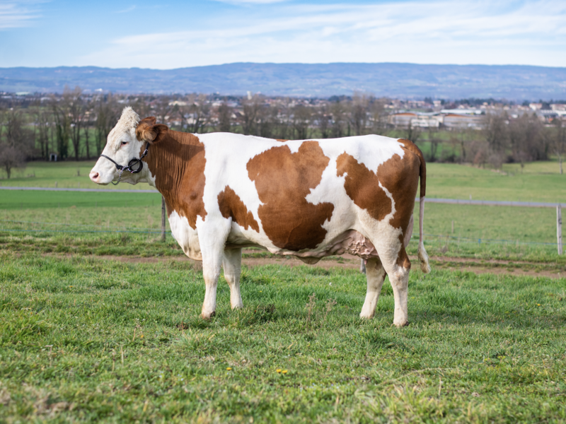 capture_d_ecran_2023-07-04_a_10-42-17