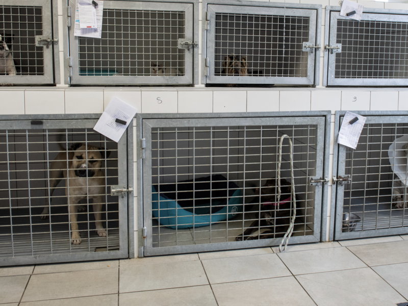 capture_d_ecran_2023-07-04_a_10-44-44