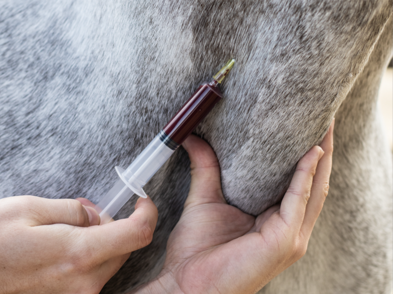 capture_d_ecran_2023-07-04_a_10-47-17