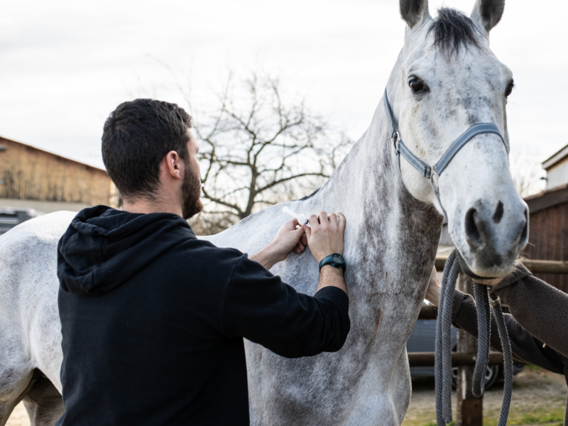 capture_d_ecran_2023-07-04_a_10-47-42