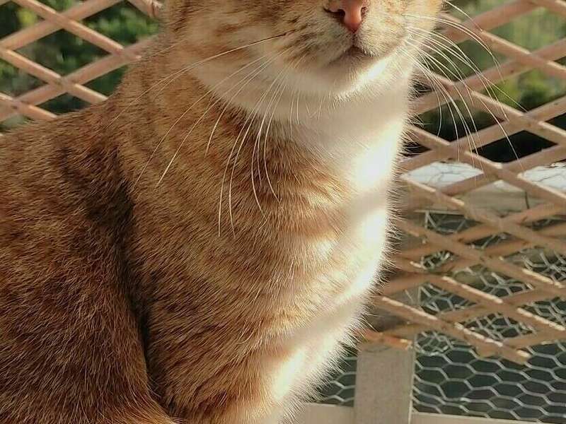 screenshot_2022-01-31-20-11-45-144_com-miui-home